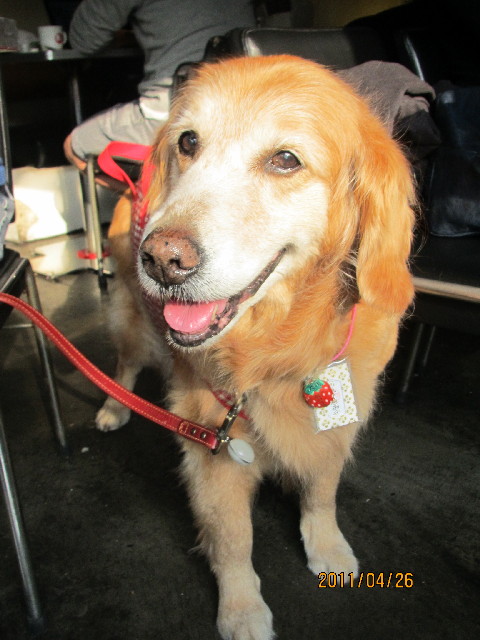 ファイル 2363-4.jpg