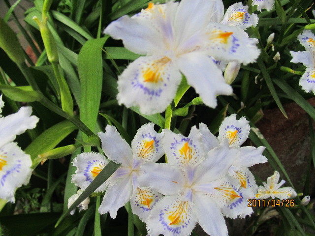 ファイル 2364-4.jpg