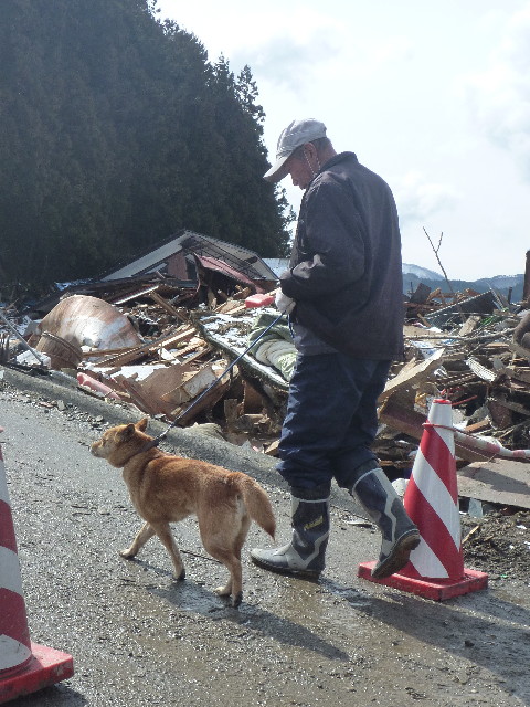 ファイル 2368-1.jpg