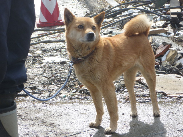 ファイル 2368-2.jpg