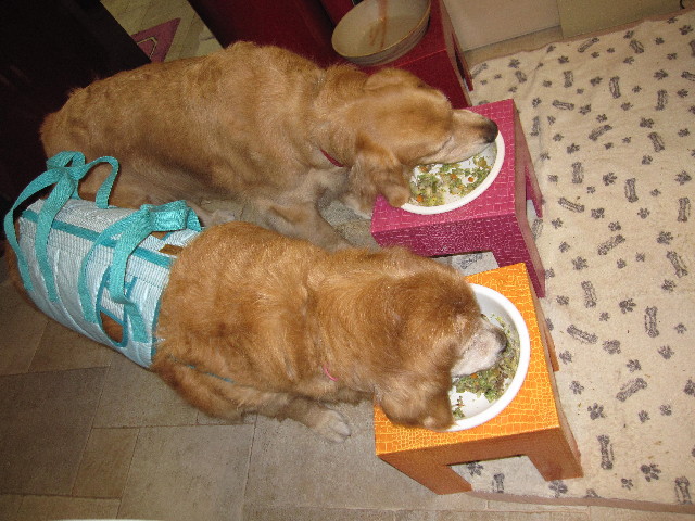 ファイル 2369-2.jpg