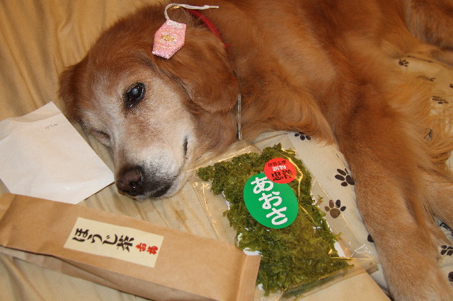 ファイル 2369-3.jpg