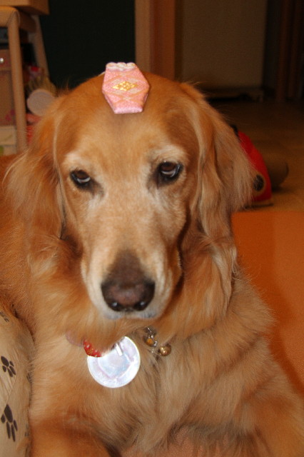 ファイル 2369-5.jpg