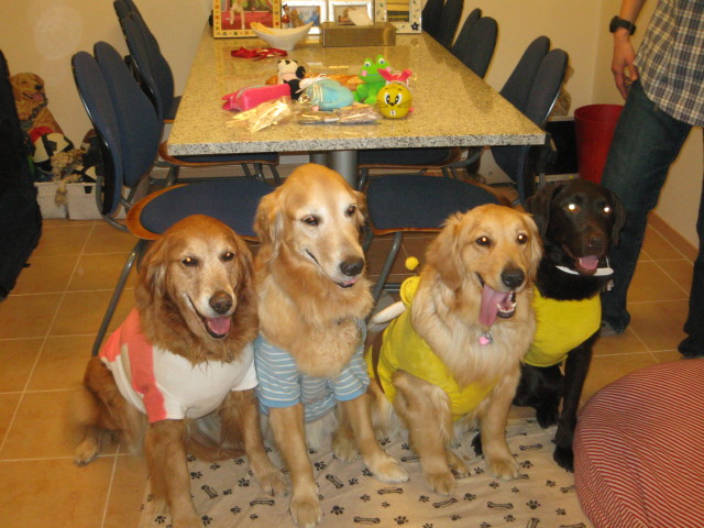 ファイル 237-1.jpg