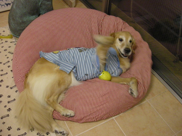 ファイル 237-5.jpg