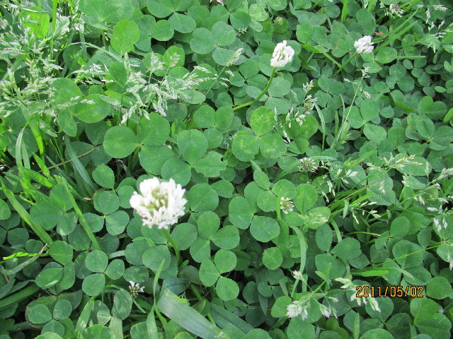 ファイル 2371-3.jpg