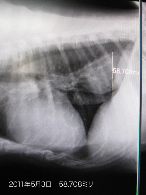 ファイル 2373-4.jpg