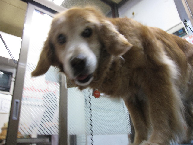 ファイル 2373-5.jpg