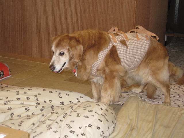 ファイル 2374-2.jpg