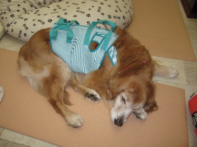 ファイル 2375-3.jpg