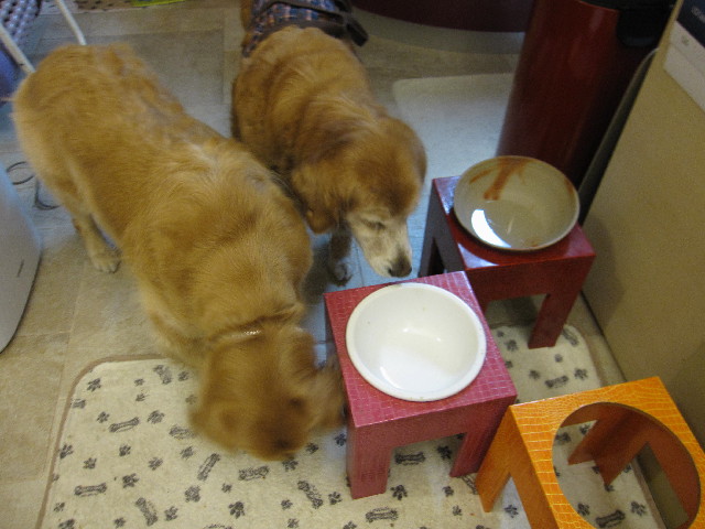 ファイル 2375-4.jpg