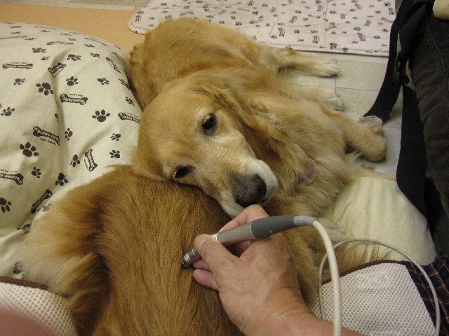 ファイル 2375-5.jpg