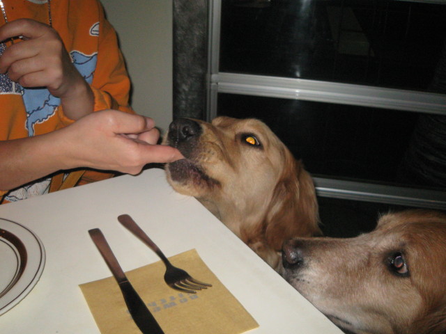 ファイル 238-4.jpg