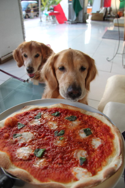 ファイル 2385-1.jpg