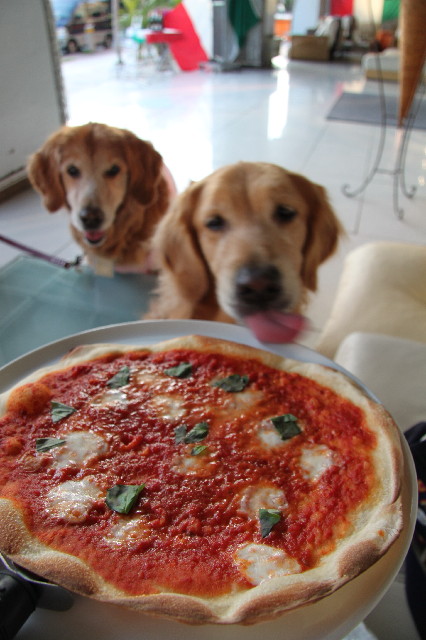 ファイル 2385-2.jpg