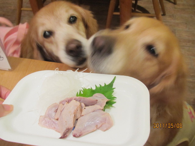 ファイル 2386-2.jpg