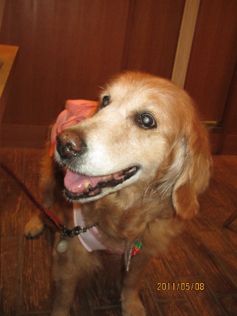 ファイル 2386-3.jpg