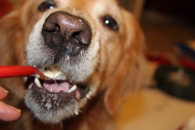 ファイル 2386-5.jpg