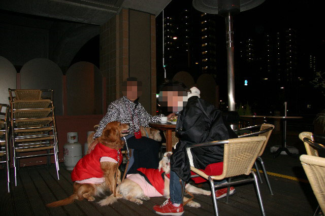 ファイル 2387-5.jpg