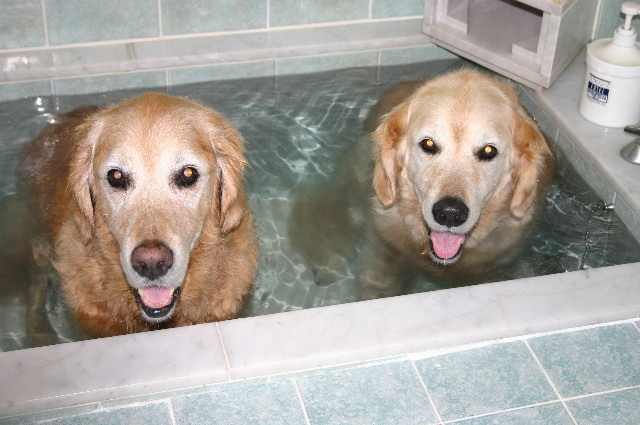 ファイル 2388-4.jpg