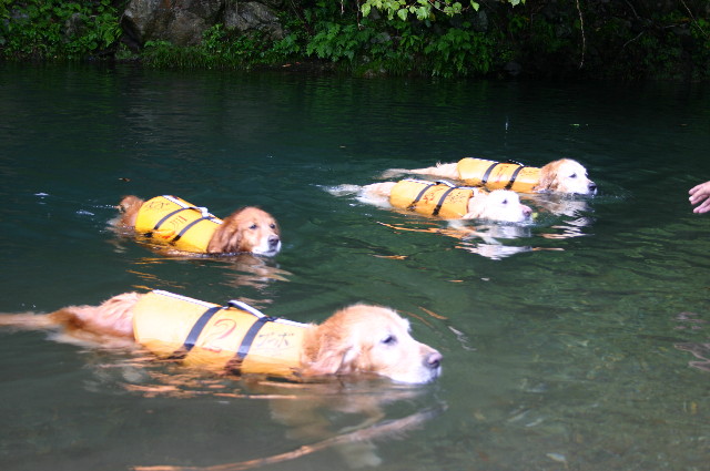 ファイル 2389-2.jpg