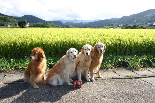 ファイル 2389-3.jpg