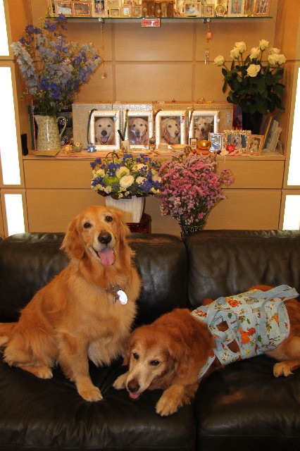 ファイル 2389-5.jpg