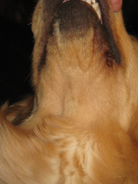 ファイル 239-3.jpg