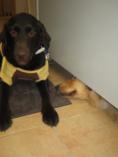 ファイル 239-5.jpg