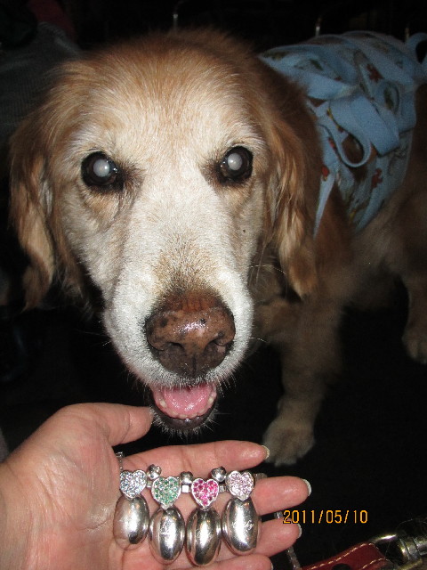 ファイル 2390-1.jpg