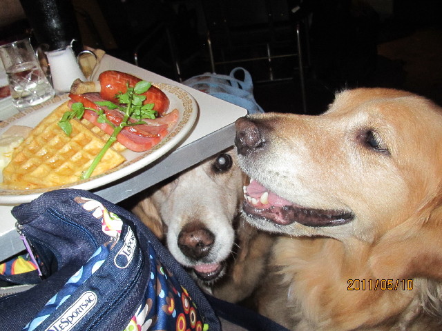 ファイル 2390-2.jpg