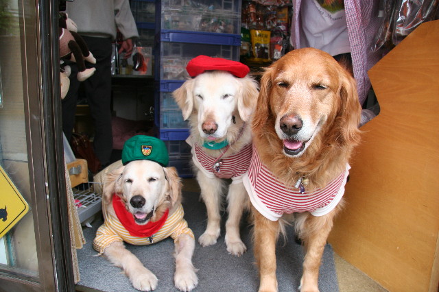 ファイル 2390-4.jpg