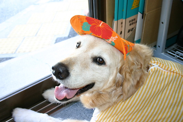 ファイル 2390-5.jpg