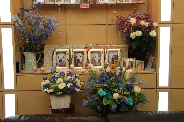 ファイル 2391-1.jpg