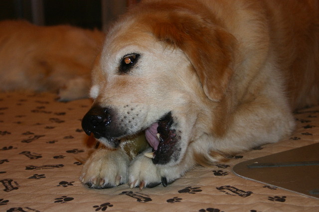 ファイル 2391-5.jpg