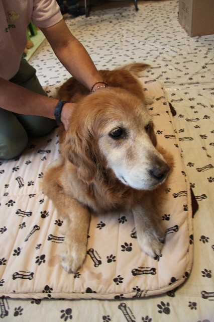 ファイル 2394-1.jpg