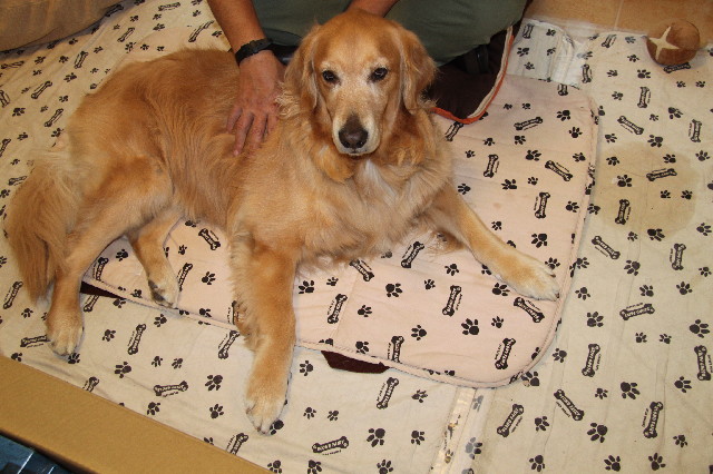 ファイル 2394-2.jpg