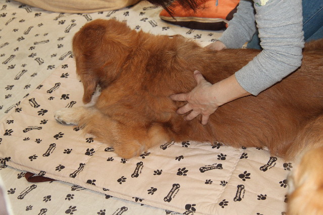 ファイル 2394-3.jpg