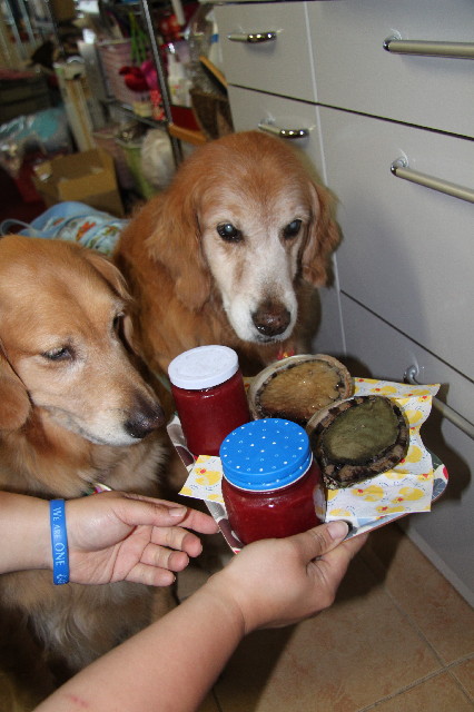 ファイル 2394-4.jpg