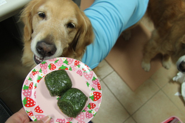 ファイル 2397-5.jpg