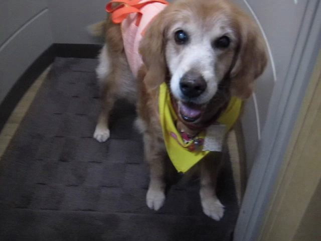 ファイル 2399-1.jpg