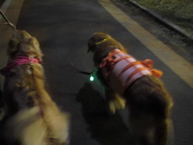 ファイル 2399-2.jpg