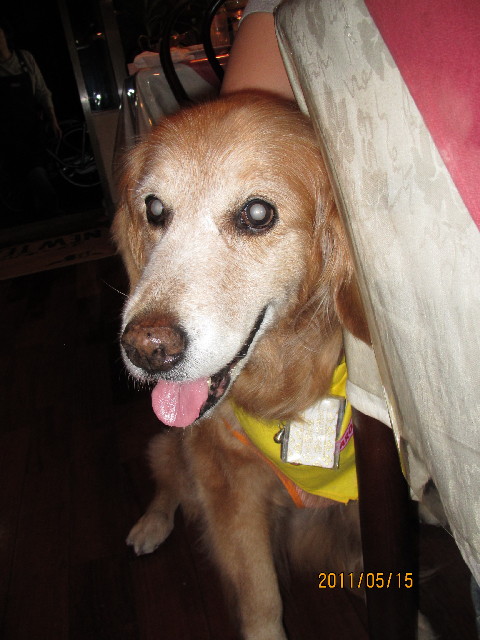 ファイル 2399-3.jpg