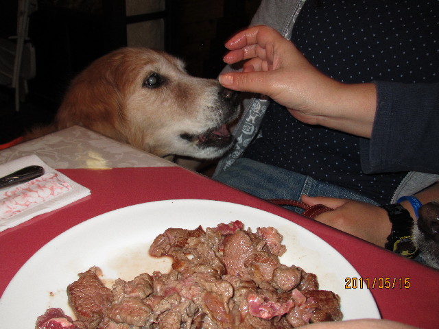 ファイル 2399-4.jpg