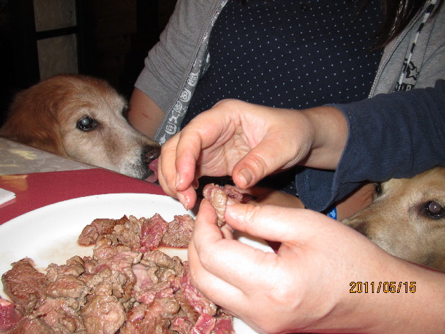 ファイル 2399-5.jpg