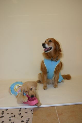 ファイル 24-2.jpg