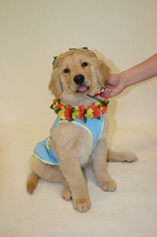 ファイル 24-3.jpg