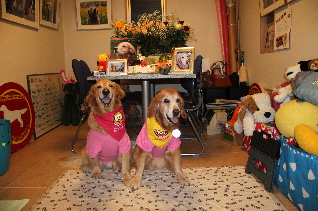 ファイル 2401-1.jpg