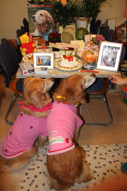 ファイル 2401-2.jpg