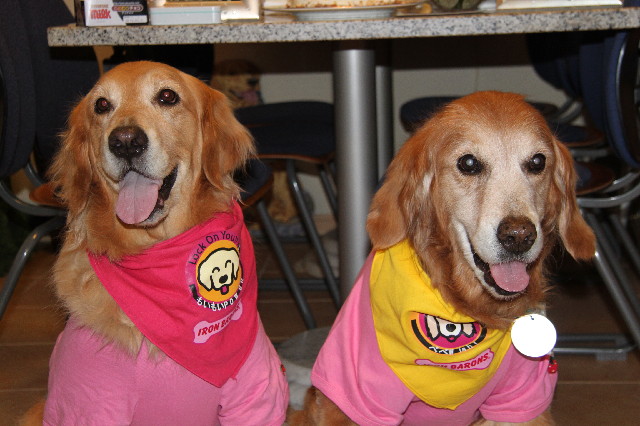 ファイル 2401-3.jpg